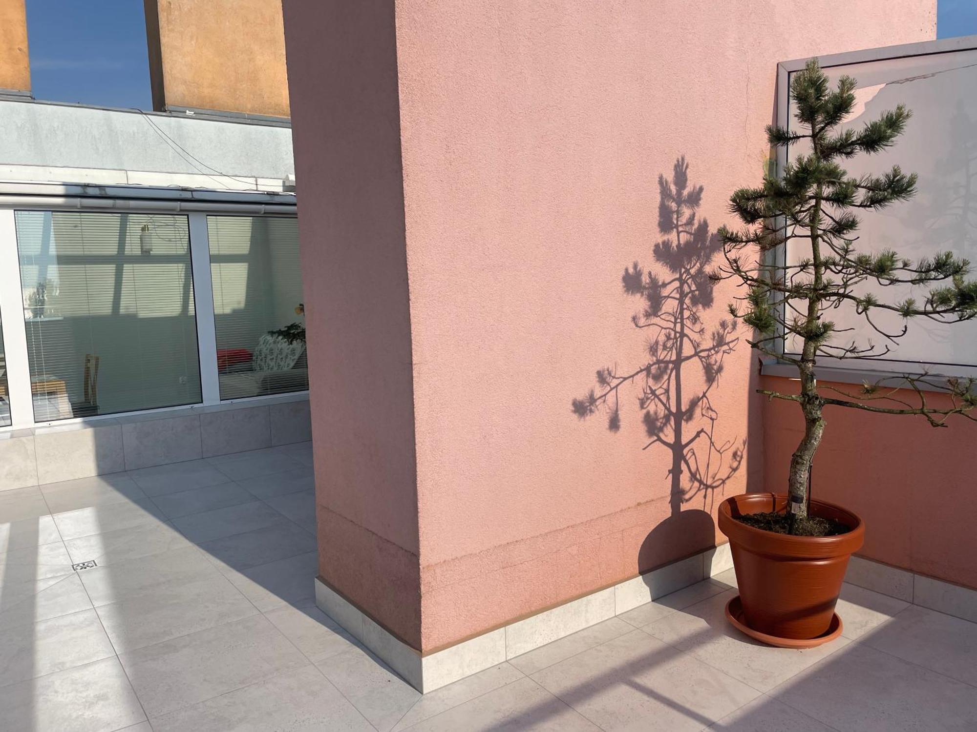 Wolin-Travel Fala Apartamenty Z Widokiem Na Morze Misdroy Exterior foto